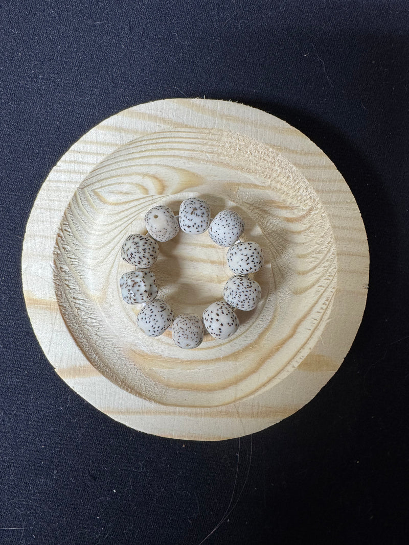 Bodhi Starlight Fidgets